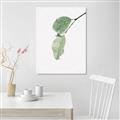 Picture of Dewey leaves _GroupedProduct_Rectangle_Portrait_Photography _GroupedProduct_Rectangle_Portrait_Canvas_