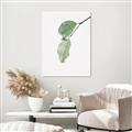 Picture of Dewey leaves _GroupedProduct_Rectangle_Portrait_Photography _GroupedProduct_Rectangle_Portrait_Canvas_