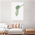 Picture of Dewey leaves _GroupedProduct_Rectangle_Portrait_Photography _GroupedProduct_Rectangle_Portrait_Canvas_