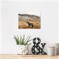 Picture of Mustard Grass Horse _GroupedProduct_Rectangle_Landscape_Photography _GroupedProduct_Rectangle_Landscape_Canvas_