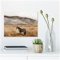 Picture of Mustard Grass Horse _GroupedProduct_Rectangle_Landscape_Photography _GroupedProduct_Rectangle_Landscape_Canvas_