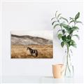 Picture of Mustard Grass Horse _GroupedProduct_Rectangle_Landscape_Photography _GroupedProduct_Rectangle_Landscape_Canvas_