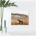 Picture of Mustard Grass Horse _GroupedProduct_Rectangle_Landscape_Photography _GroupedProduct_Rectangle_Landscape_Canvas_