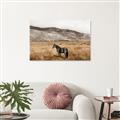 Picture of Mustard Grass Horse _GroupedProduct_Rectangle_Landscape_Photography _GroupedProduct_Rectangle_Landscape_Canvas_