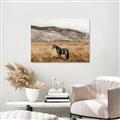 Picture of Mustard Grass Horse _GroupedProduct_Rectangle_Landscape_Photography _GroupedProduct_Rectangle_Landscape_Canvas_