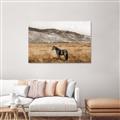 Picture of Mustard Grass Horse _GroupedProduct_Rectangle_Landscape_Photography _GroupedProduct_Rectangle_Landscape_Canvas_