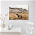 Picture of Mustard Grass Horse _GroupedProduct_Rectangle_Landscape_Photography _GroupedProduct_Rectangle_Landscape_Canvas_
