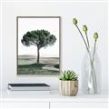 Picture of The Only Tree _GroupedProduct_Rectangle_Portrait_Photography _GroupedProduct_Rectangle_Portrait_Canvas_Framed_