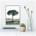 Picture of The Only Tree _GroupedProduct_Rectangle_Portrait_Photography _GroupedProduct_Rectangle_Portrait_Canvas_Framed_