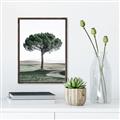 Picture of The Only Tree _GroupedProduct_Rectangle_Portrait_Photography _GroupedProduct_Rectangle_Portrait_Canvas_Framed_