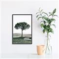 Picture of The Only Tree _GroupedProduct_Rectangle_Portrait_Photography _GroupedProduct_Rectangle_Portrait_Canvas_Framed_