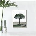 Picture of The Only Tree _GroupedProduct_Rectangle_Portrait_Photography _GroupedProduct_Rectangle_Portrait_Canvas_Framed_