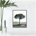 Picture of The Only Tree _GroupedProduct_Rectangle_Portrait_Photography _GroupedProduct_Rectangle_Portrait_Canvas_Framed_