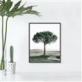 Picture of The Only Tree _GroupedProduct_Rectangle_Portrait_Photography _GroupedProduct_Rectangle_Portrait_Canvas_Framed_