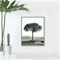 Picture of The Only Tree _GroupedProduct_Rectangle_Portrait_Photography _GroupedProduct_Rectangle_Portrait_Canvas_Framed_