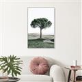 Picture of The Only Tree _GroupedProduct_Rectangle_Portrait_Photography _GroupedProduct_Rectangle_Portrait_Canvas_Framed_