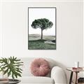 Picture of The Only Tree _GroupedProduct_Rectangle_Portrait_Photography _GroupedProduct_Rectangle_Portrait_Canvas_Framed_
