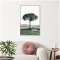 Picture of The Only Tree _GroupedProduct_Rectangle_Portrait_Photography _GroupedProduct_Rectangle_Portrait_Canvas_Framed_