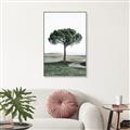 Picture of The Only Tree _GroupedProduct_Rectangle_Portrait_Photography _GroupedProduct_Rectangle_Portrait_Canvas_Framed_