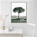 Picture of The Only Tree _GroupedProduct_Rectangle_Portrait_Photography _GroupedProduct_Rectangle_Portrait_Canvas_Framed_