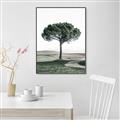 Picture of The Only Tree _GroupedProduct_Rectangle_Portrait_Photography _GroupedProduct_Rectangle_Portrait_Canvas_Framed_