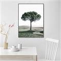 Picture of The Only Tree _GroupedProduct_Rectangle_Portrait_Photography _GroupedProduct_Rectangle_Portrait_Canvas_Framed_