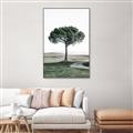 Picture of The Only Tree _GroupedProduct_Rectangle_Portrait_Photography _GroupedProduct_Rectangle_Portrait_Canvas_Framed_
