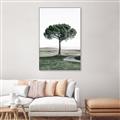 Picture of The Only Tree _GroupedProduct_Rectangle_Portrait_Photography _GroupedProduct_Rectangle_Portrait_Canvas_Framed_