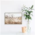 Picture of Neutral Grasses _GroupedProduct_Rectangle_Landscape_Photography _GroupedProduct_Rectangle_Landscape_Canvas_Framed_