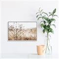 Picture of Neutral Grasses _GroupedProduct_Rectangle_Landscape_Photography _GroupedProduct_Rectangle_Landscape_Canvas_Framed_