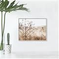 Picture of Neutral Grasses _GroupedProduct_Rectangle_Landscape_Photography _GroupedProduct_Rectangle_Landscape_Canvas_Framed_