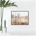 Picture of Neutral Grasses _GroupedProduct_Rectangle_Landscape_Photography _GroupedProduct_Rectangle_Landscape_Canvas_Framed_