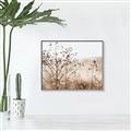 Picture of Neutral Grasses _GroupedProduct_Rectangle_Landscape_Photography _GroupedProduct_Rectangle_Landscape_Canvas_Framed_