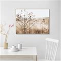 Picture of Neutral Grasses _GroupedProduct_Rectangle_Landscape_Photography _GroupedProduct_Rectangle_Landscape_Canvas_Framed_