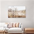 Picture of Neutral Grasses _GroupedProduct_Rectangle_Landscape_Photography _GroupedProduct_Rectangle_Landscape_Canvas_Framed_