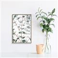 Picture of Eucalyptus Vine _GroupedProduct_Rectangle_Portrait_Photography _GroupedProduct_Rectangle_Portrait_Canvas_Framed_