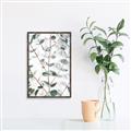 Picture of Eucalyptus Vine _GroupedProduct_Rectangle_Portrait_Photography _GroupedProduct_Rectangle_Portrait_Canvas_Framed_