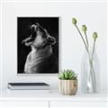 Picture of Yawning lion _GroupedProduct_Rectangle_Portrait_Photography _GroupedProduct_Rectangle_Portrait_Canvas_Framed_