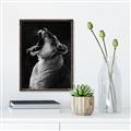 Picture of Yawning lion _GroupedProduct_Rectangle_Portrait_Photography _GroupedProduct_Rectangle_Portrait_Canvas_Framed_