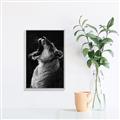 Picture of Yawning lion _GroupedProduct_Rectangle_Portrait_Photography _GroupedProduct_Rectangle_Portrait_Canvas_Framed_