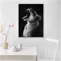 Picture of Yawning lion _GroupedProduct_Rectangle_Portrait_Photography _GroupedProduct_Rectangle_Portrait_Canvas_Framed_