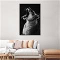 Picture of Yawning lion _GroupedProduct_Rectangle_Portrait_Photography _GroupedProduct_Rectangle_Portrait_Canvas_Framed_