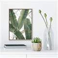 Picture of Banana Plant _GroupedProduct_Rectangle_Portrait_Photography _GroupedProduct_Rectangle_Portrait_Canvas_Framed_