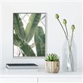 Picture of Banana Plant _GroupedProduct_Rectangle_Portrait_Photography _GroupedProduct_Rectangle_Portrait_Canvas_Framed_