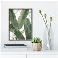 Picture of Banana Plant _GroupedProduct_Rectangle_Portrait_Photography _GroupedProduct_Rectangle_Portrait_Canvas_Framed_