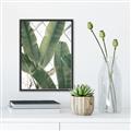 Picture of Banana Plant _GroupedProduct_Rectangle_Portrait_Photography _GroupedProduct_Rectangle_Portrait_Canvas_Framed_