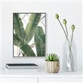 Picture of Banana Plant _GroupedProduct_Rectangle_Portrait_Photography _GroupedProduct_Rectangle_Portrait_Canvas_Framed_