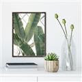 Picture of Banana Plant _GroupedProduct_Rectangle_Portrait_Photography _GroupedProduct_Rectangle_Portrait_Canvas_Framed_