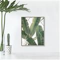 Picture of Banana Plant _GroupedProduct_Rectangle_Portrait_Photography _GroupedProduct_Rectangle_Portrait_Canvas_Framed_