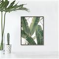 Picture of Banana Plant _GroupedProduct_Rectangle_Portrait_Photography _GroupedProduct_Rectangle_Portrait_Canvas_Framed_